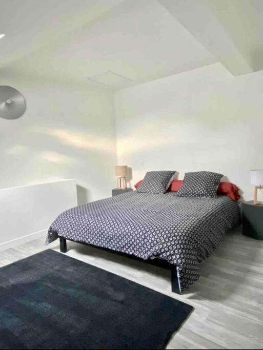 Appartement Centre Ville Saint-Amand-Mont-Rond المظهر الخارجي الصورة