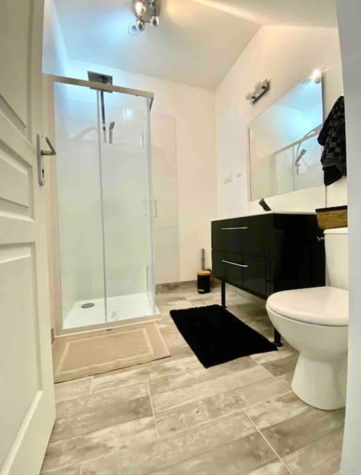 Appartement Centre Ville Saint-Amand-Mont-Rond المظهر الخارجي الصورة